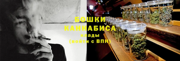 индика Михайловск