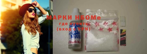 индика Михайловск