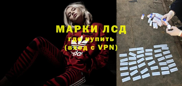 индика Михайловск