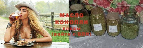 индика Михайловск