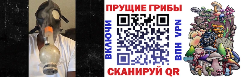 Псилоцибиновые грибы Cubensis  Устюжна 